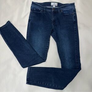 Southern Tide jeans size 26 dark blue‎ skinny